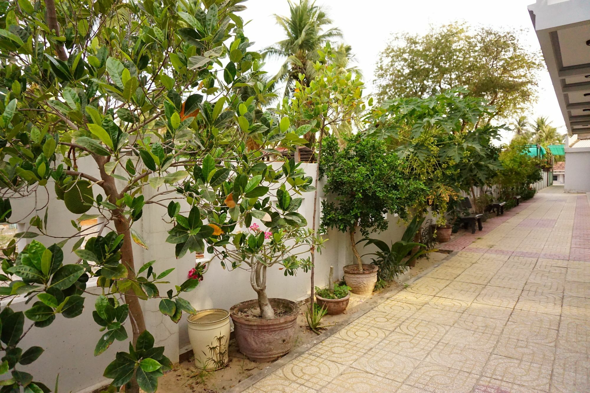 Cat Tien Guesthouse Mui Ne Exterior photo
